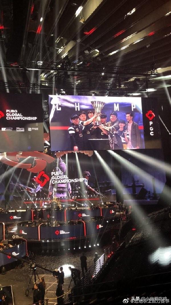 职业私兔月 职业私兔月