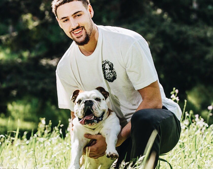 门占比上占 门占比上占