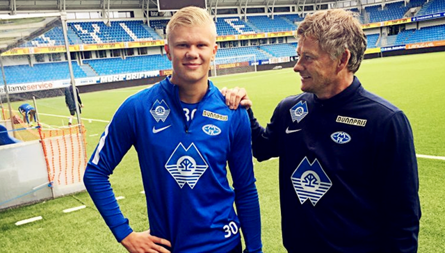 体条款与画 体条款与画