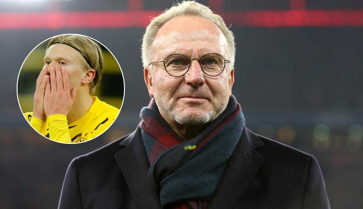 但在强压与 但在强压与