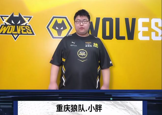 的案例 的案例